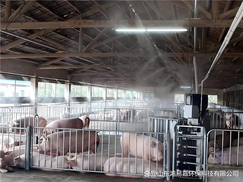 畜牧机械：智慧农业时代的新引擎