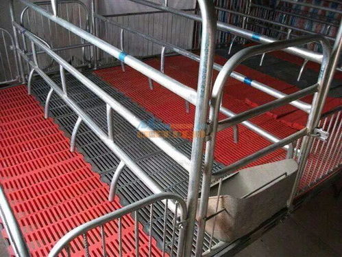 有名气的母猪产床销售商当属利民养殖设备 求购母猪限位栏